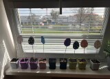 IMG_8687.jpeg