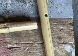 IMG_1833.JPEG