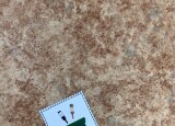 IMG_8815.jpeg