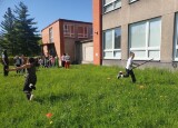 20250429_094447.jpg