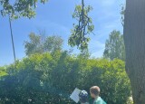IMG_8876.jpeg