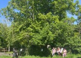 IMG_8878.jpeg