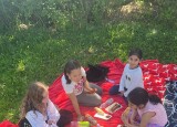 IMG_8863.jpeg