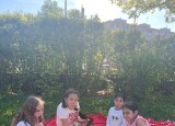 IMG_8862.jpeg
