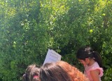 IMG_8879.jpeg