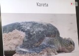 ž3.jpg