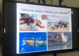 ž8.jpg