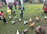 1000044687.jpg