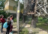 IMG_2145.JPEG