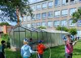 IMG-20250607-WA0013.jpg