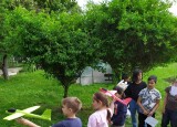 IMG_20250606_104047.jpg
