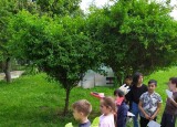 IMG_20250606_104045.jpg