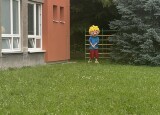 IMG_5584.jpeg