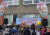IMG_5652.jpeg