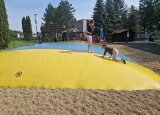 20250610_095024.jpg