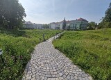 20250610_090049.jpg