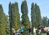 IMG_9242.jpeg