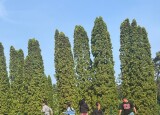 IMG_9243.jpeg
