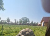 20250612_092922.jpg