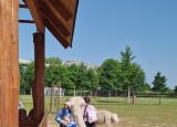 20250612_100903.jpg