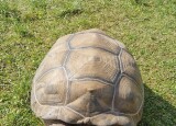 20250612_092907.jpg