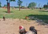 20250612_093740.jpg