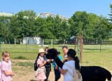 IMG_9327.jpeg