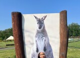 IMG_9297.jpeg