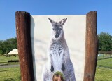 IMG_9295.jpeg