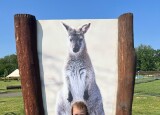 IMG_9294.jpeg