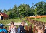 IMG_9274.jpeg