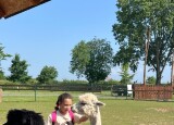 IMG_9325.jpeg