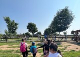 IMG_9317.jpeg