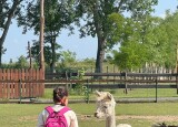 IMG_9330.jpeg