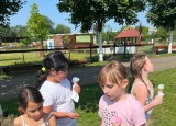 IMG_9334.jpeg