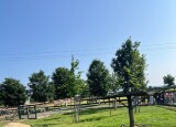 IMG_9289.jpeg
