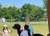 IMG_9326.jpeg