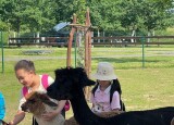 IMG_9328.jpeg