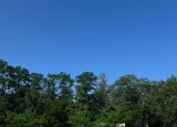 IMG_9278.jpeg