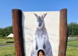 IMG_9296.jpeg