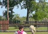 IMG_9331.jpeg