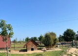 IMG_9287.jpeg