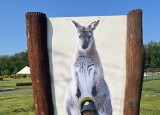 IMG_9300.jpeg