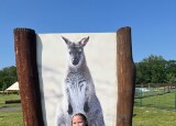 IMG_9293.jpeg