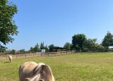 IMG_9290.jpeg