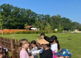 IMG_9273.jpeg