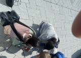 IMG_5730.jpeg