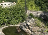 IMG_5731.jpeg