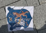 IMG_5734.jpeg