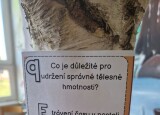 20250618_091809.jpg